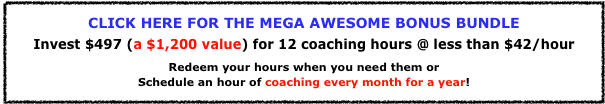 
CLICK HERE FOR THE MEGA AWESOME BONUS BUNDLE
Invest $497 (a $1,200 value) for 12 coaching hours @ less than $42/hour
Redeem your hours when you need them or
Schedule an hour of coaching every month for a year!
